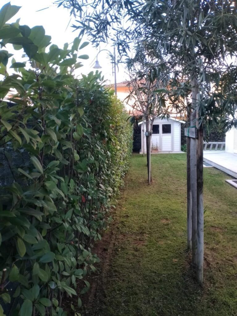 Abri de jardin en PVC 4,9m² DECO blanc et gris vert Grosfillex + kit ancrage offert