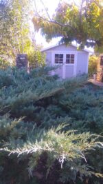 Abri de jardin en PVC 7,5m² DECO gris clair et blanc Grosfillex + kit ancrage offert
