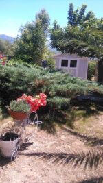 Abri de jardin en PVC 7,5m² DECO gris clair et blanc Grosfillex + kit ancrage offert