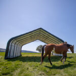 Abri pour animaux démontable 49,6m² en acier et polyéthylène vert – Shelter Logic