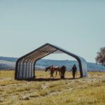 Abri pour animaux démontable 49,6m² en acier et polyéthylène vert – Shelter Logic