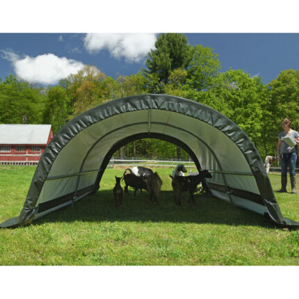 Abri pour animaux démontable 7,8m² en acier et polyéthylène vert – Shelter Logic
