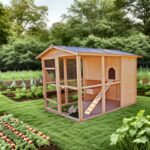 Poulailler en bois 16mm FSC non-teinté avec toit bitumé pour 6 à 10 poules – HABRITA