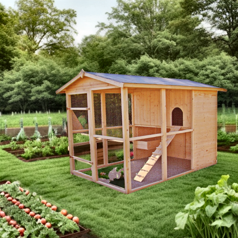 Poulailler en bois 16mm FSC non-teinté avec toit bitumé pour 6 à 10 poules – HABRITA