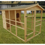 Poulailler en bois 16mm FSC non-teinté avec toit bitumé pour 8 à 12 poules – HABRITA