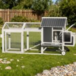 Poulailler en bois FSC thermo-traité 224x81x107cm avec toit PVC pour 4 à 6 poules – Shelty Pet