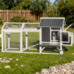 Poulailler en bois FSC thermo-traité 224x81x107cm avec toit PVC pour 4 à 6 poules – Shelty Pet