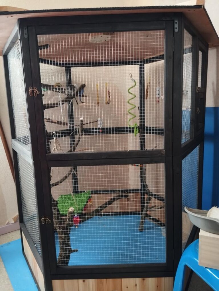Volière en bois FSC thermo-traité diam. 150cm x H.164cm - Shelty Pet